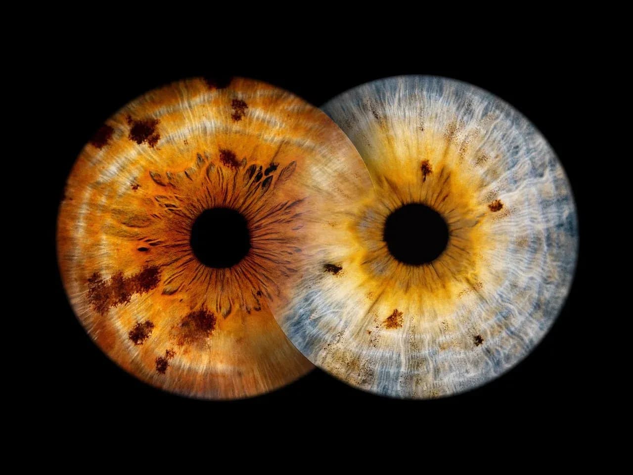 Пустой alt-текст