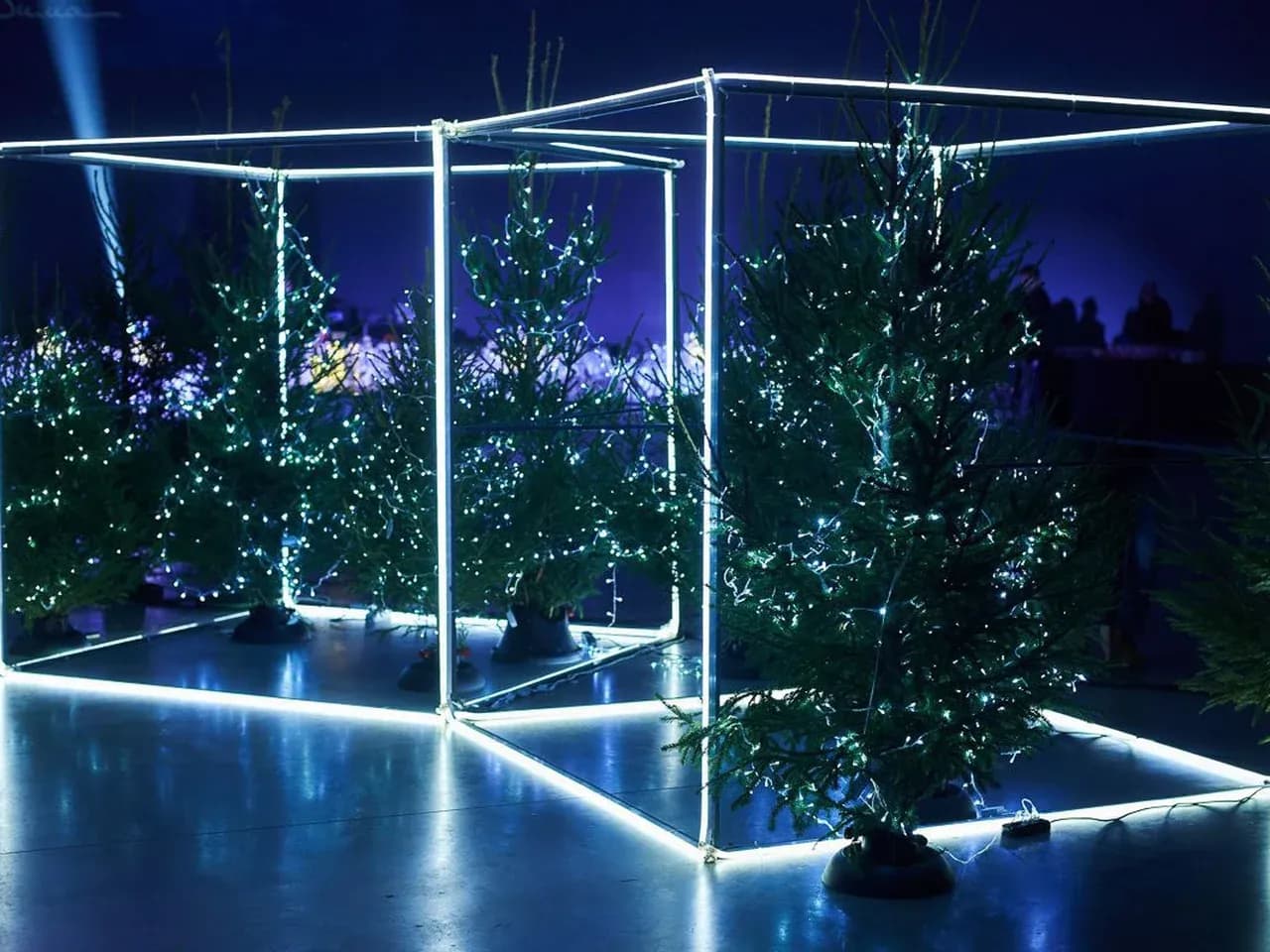 Неоновый куб с подсветкой и ёлками внутри — фотозона куб для мероприятия